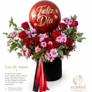 Luz de Amor