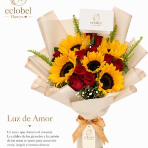 Luz de Amor